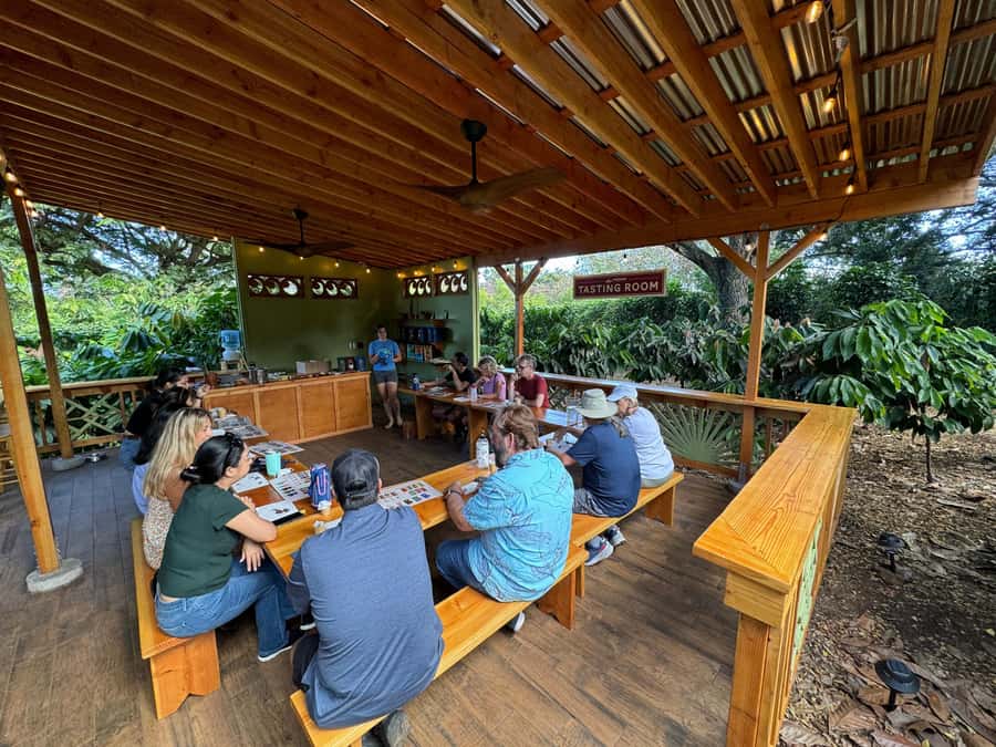 Oahu: Chocolate Farm Tour with Tasting - Kamananui Cacao - Who should book Kamananui Cacao Orchards, and who should skip it