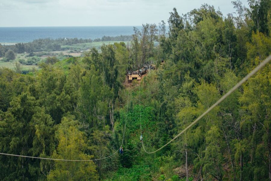 Oahu: North Shore Zip Line Adventure with ATV and Farm Tour - Price and Value: Is $251 Worth It?