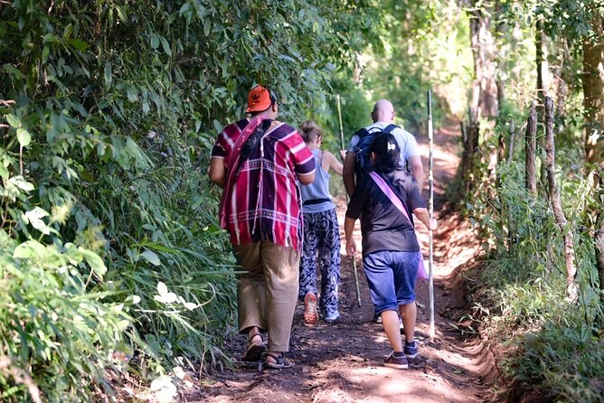 Off the Map Chiang Mai Jungle Coffee Trek Roast and Brew - A Coffee Day in the Karen Highlands, Not a Cafe Stop