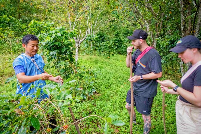 Off the Map Chiang Mai Jungle Coffee Trek Roast and Brew - Farm-to-Table Karen Lunch: Real Food After a Real Trek