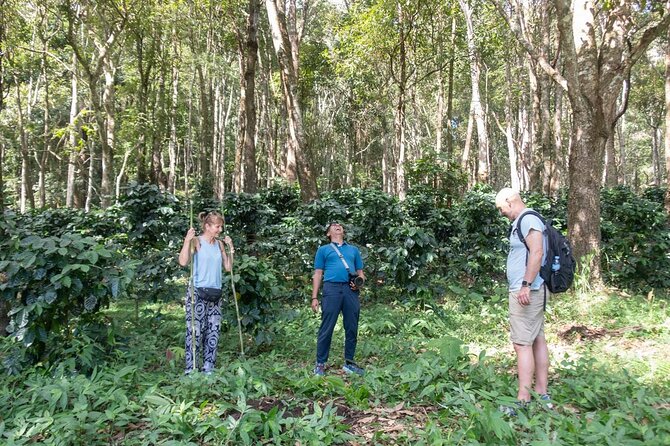 Off the Map Chiang Mai Jungle Coffee Trek Roast and Brew - The V60 Workshop: Brewing a Cup That Matches the Work