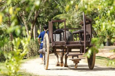 Old Phuket Farm Ticket - Countryside Local Life Culture - Price and value: why $36 can make sense for what you get