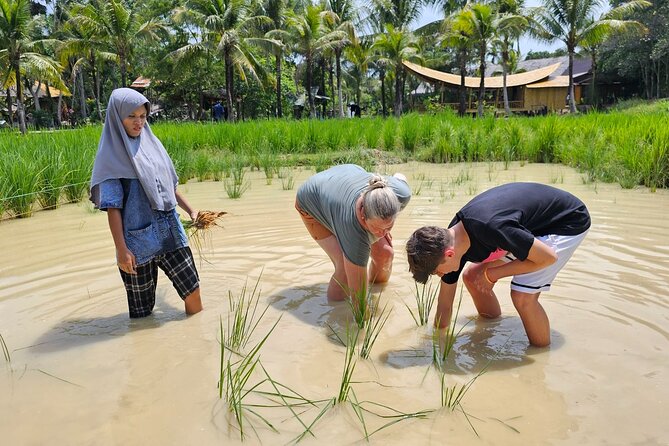 Old Phuket Farm Ticket - Countryside Local Life Culture - Final verdict: should you book Old Phuket Farm?