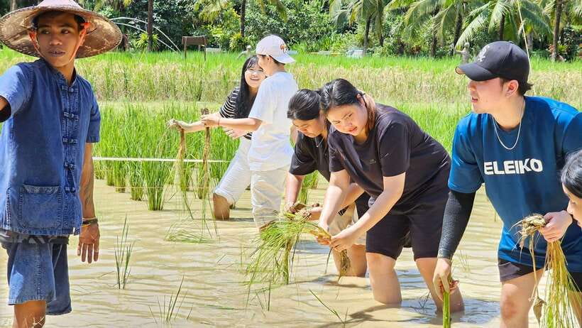 Old Phuket Farm Ticket - Countryside Local Life Culture - FAQ