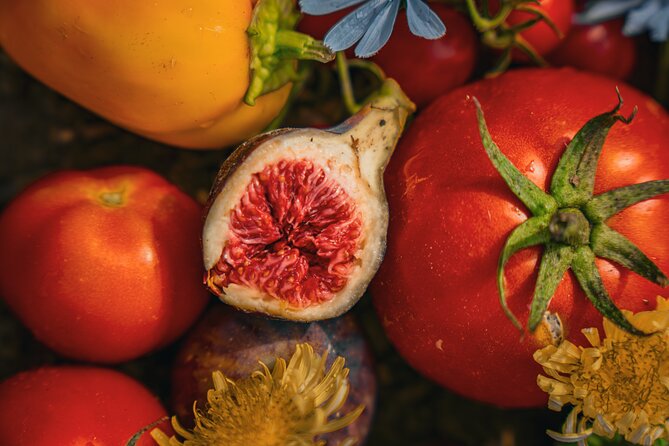 Olive farm & village - Key highlights at Vardia farm