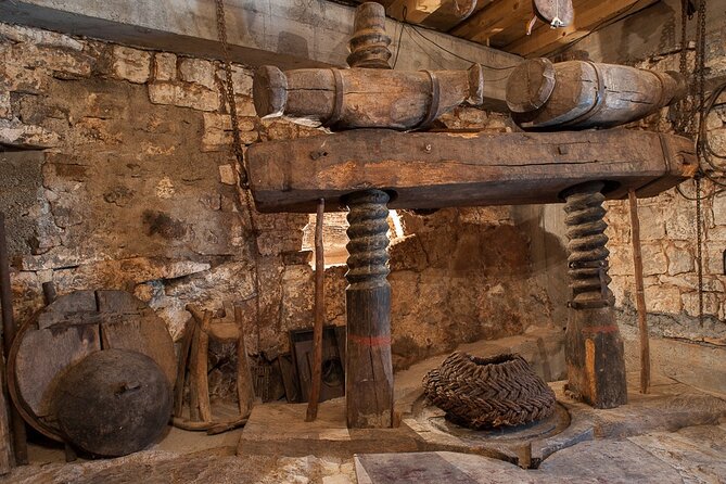 Olive oil farm to fork experience & short walking tour of Kotor - Old 150-Year-Old Mill Meets a Modern Anaerobic Press