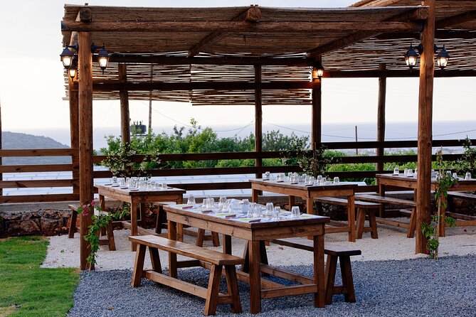 Olive Oil Festival in Cretan Farm with Traditional Dinner - Farm Learning That Feels Practical: Olive Oil, Honey, Raki, Soap