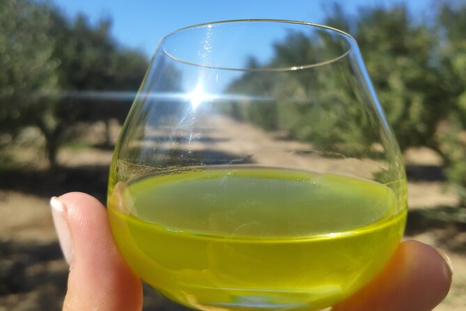 Olive Oil Tasting at the Mykonian Farm - Entering Mykonian Farm at 5:00 pm (and What That Means)