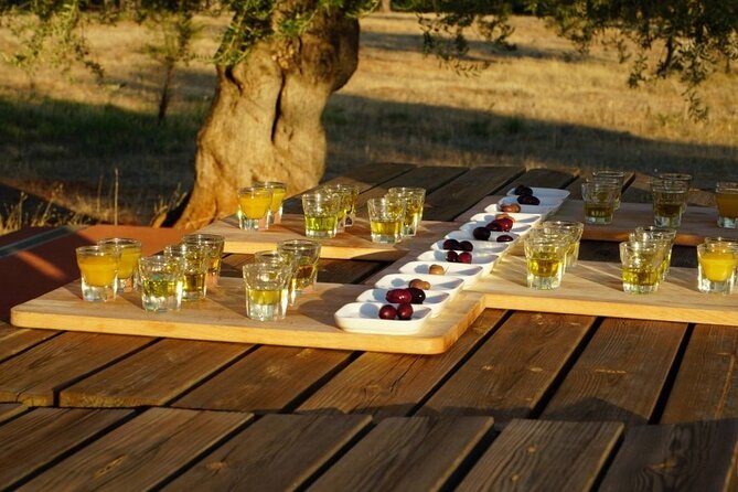 Olive Oil Tasting at the Mykonian Farm - Extra Virgin: What You’ll Actually Understand After 2 Hours