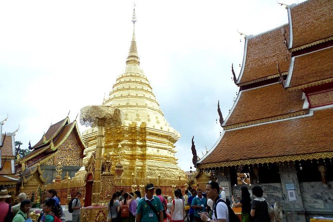 One Day Tour Doi Suthep Temple, Palad Temple, Orchid Farm, Longneck hill tribe village (Private tour) - A Full-Day Private Route Around Chiang Mai’s Famous North