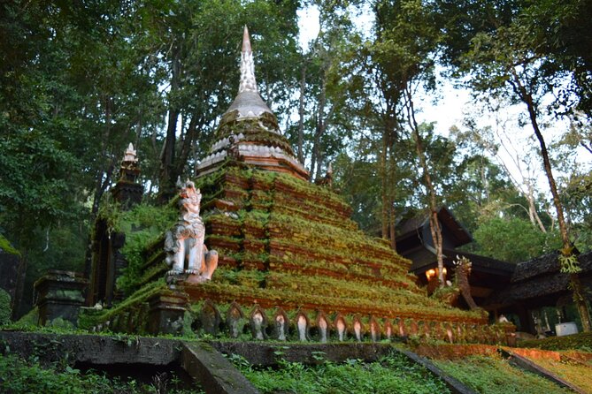 One Day Tour Doi Suthep Temple, Palad Temple, Orchid Farm, Longneck hill tribe village (Private tour) - Guide and Driver Team Quality: What the Best Reviews Point To