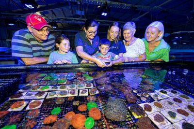 One Hour Coral Farm Tour, Discover Australia's Marine Life - Your Hour on the Clock: Timing, Start Time, and What 1 Hour 15 Minutes Really Feels Like