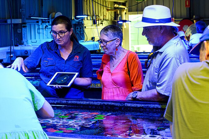 One Hour Coral Farm Tour, Discover Australia's Marine Life - What to Wear and Know: Wet Floors, Non-Slip Shoes, and Comfort