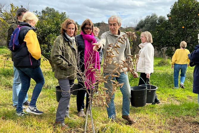 Organic Orange Picking & Jam Making with Farm-to-Table Lunch - Meeting the Farm Family in Odelouca, Silves Area