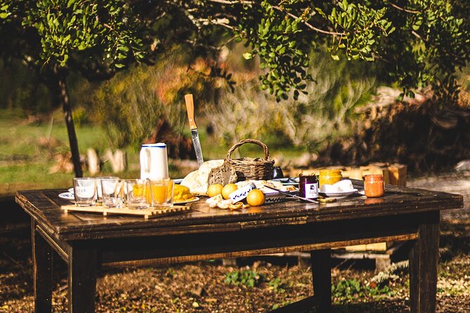 Organic Orange Picking & Jam Making with Farm-to-Table Lunch - Who Should Book This Orange Picking and Jam Making Day