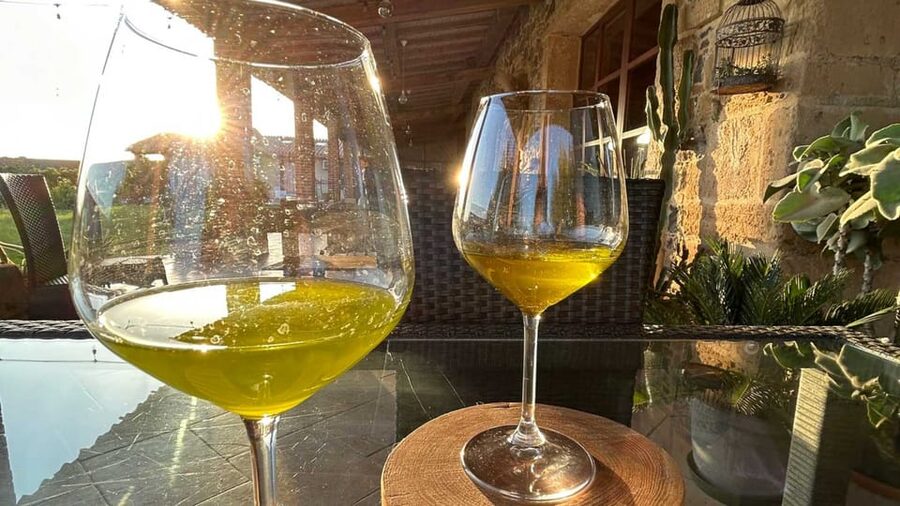 Oristano: visit a farm with oil tasting - Key points to know before you go