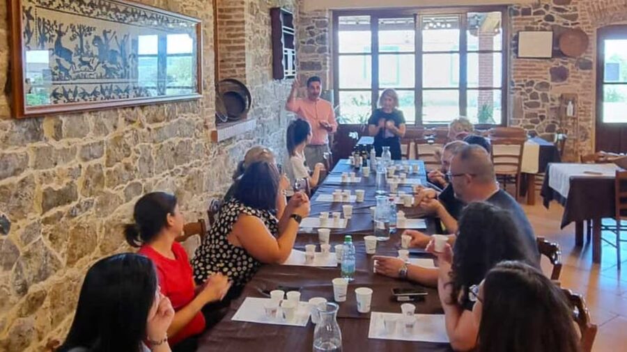 Oristano: visit a farm with oil tasting - Should you book this olive farm oil tasting near Oristano?
