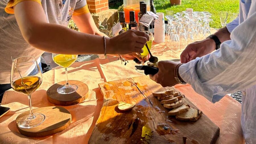 Oristano: visit a farm with oil tasting - Where Massama’s olive groves become a mini food classroom