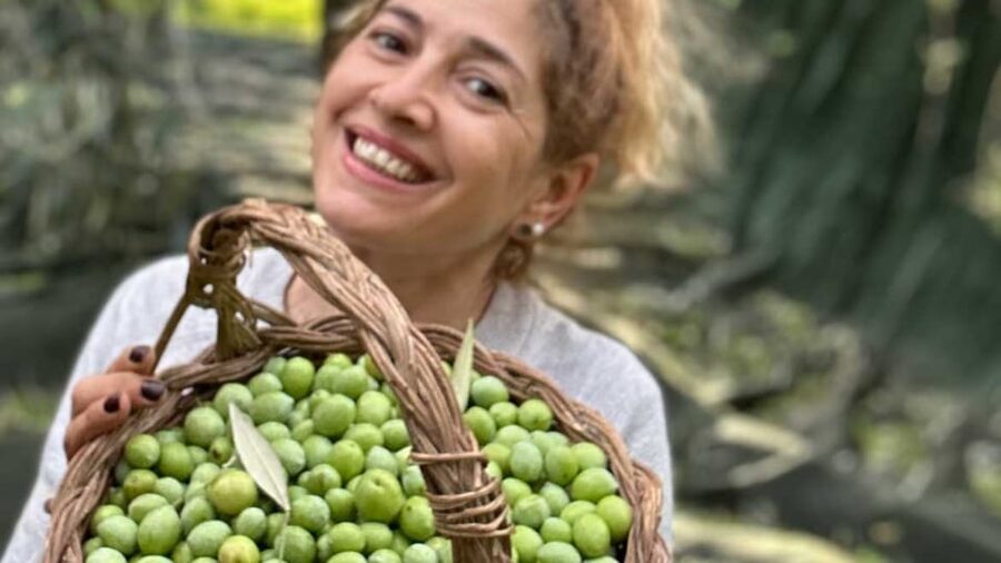 Oristano: visit a farm with oil tasting - The food side: crostone, seasonal vegetables, legume humus, and more