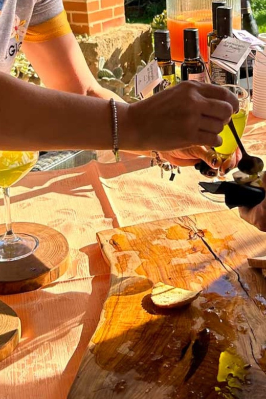 Oristano: visit a farm with oil tasting - The cultivars you’ll hear about (and why Semidiana is a local favorite)