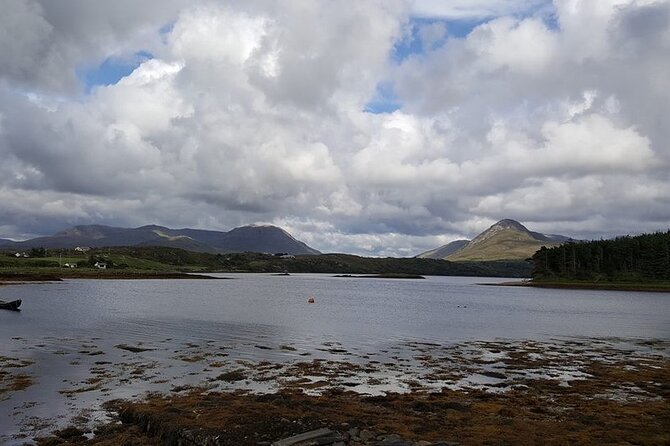 Oyster Farm and Tasting Experience - Why Clifden’s Oyster Farm Beats Another Rainy-Day Tour