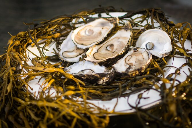 Oyster Farm and Tasting Experience - The Guide Experience: What Makes Sinead and David’s Tours Work