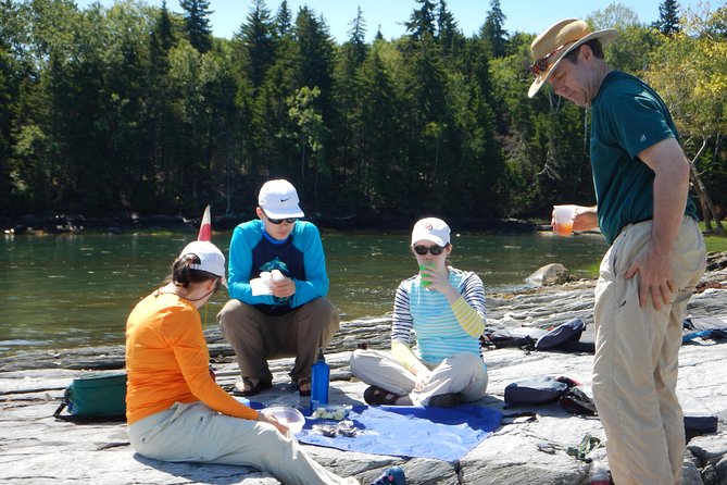 Oyster Farm & Complimentary Tasting Sea Kayak Tour in Casco Bay - Oyster farm sea kayaking in Casco Bay: why this combo works