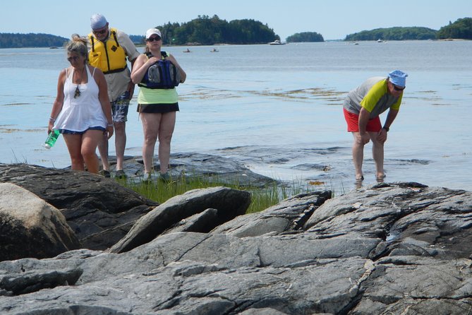 Oyster Farm & Complimentary Tasting Sea Kayak Tour in Casco Bay - Mere Point vs Love Point oyster farms: what changes on the water