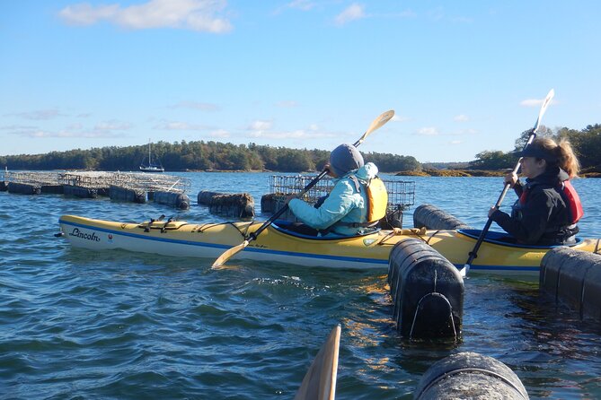 Oyster Farm & Complimentary Tasting Sea Kayak Tour in Casco Bay - Price and timing: is $99 for 3 hours worth it?