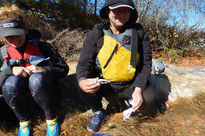 Oyster Farm & Complimentary Tasting Sea Kayak Tour in Casco Bay - Should you book the Oyster Farm & Complimentary Tasting Sea Kayak Tour?