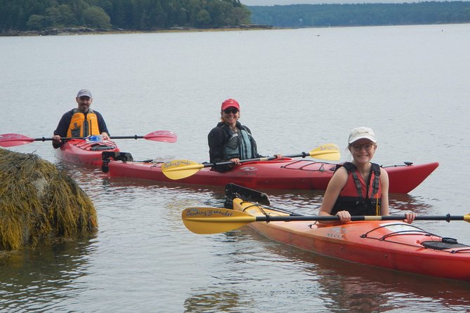 Oyster Farm & Complimentary Tasting Sea Kayak Tour in Casco Bay - 8:15am check-in and paddle confidence in Brunswick