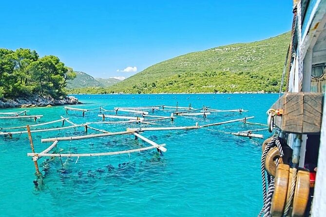 Oyster farm experience / Private day trip from Dubrovnik - Key Highlights You’ll Care About
