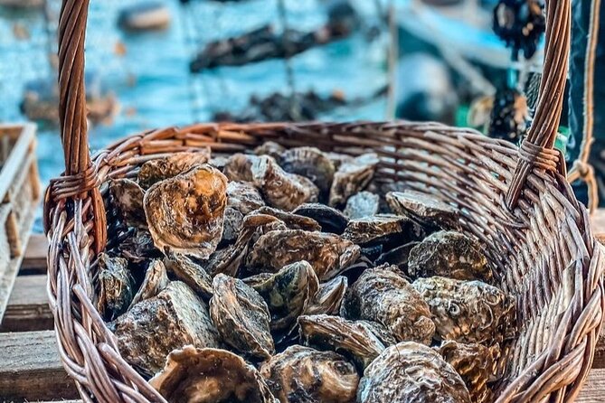 Oyster farm experience / Private day trip from Dubrovnik - When This Tour Makes the Most Sense (And When It Doesn’t)