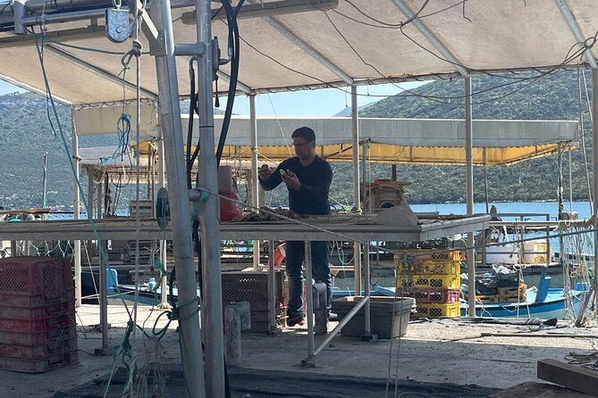 Oyster Farm, Ston and Winery Tour - Guide experience: Mario’s style and why it affects your enjoyment