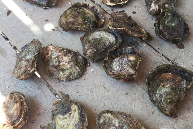 Oyster Farm, Ston and Winery Tour - The timing trade-off: why the order can feel different than you expect