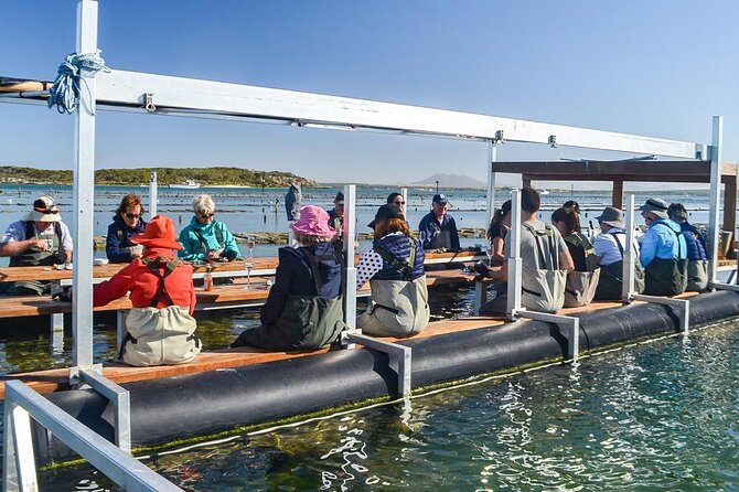 Oyster Farm Tour with Hotel Pick-up and return from Port Lincoln - Quick hits before you go
