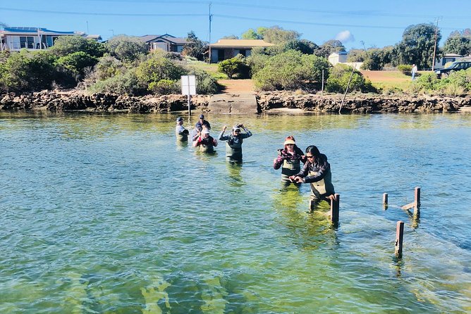 Oyster Farm Tour with Hotel Pick-up and return from Port Lincoln - Should you book? My practical take