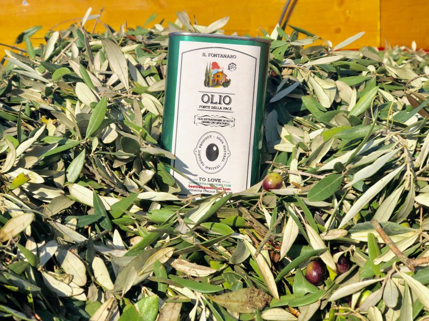 Paciano: Organic Cooking Class at a Farm with Lunch & Wine - Tips to Get the Most Out of the Class