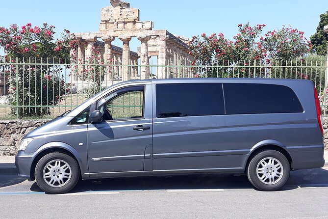 Paestum and Buffalo Farm Day Tour from Sorrento - Key highlights that matter