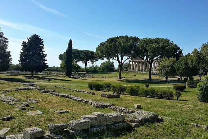 Paestum and Buffalo Farm Day Tour from Sorrento - Paestum and Buffalo Farm: what this day trip feels like