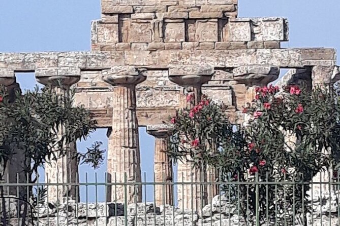 Paestum and Buffalo Farm Day Tour from Sorrento - Parco Archeologico di Paestum e Velia: your 2-hour temple time