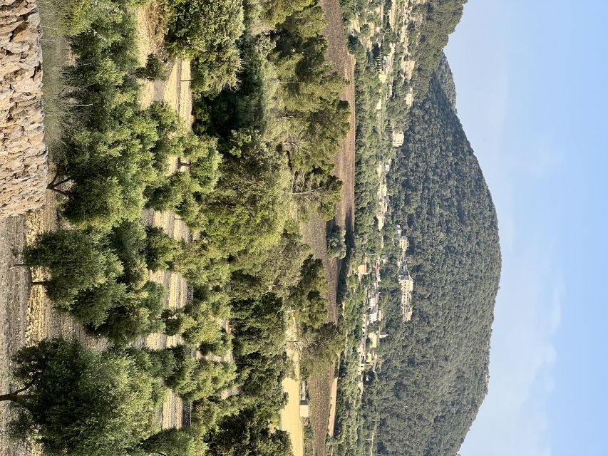 Palma: Orange Farm, Olive Mill, & Winery Tour with Tastings - Key points to know before you go