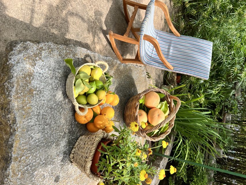 Palma: Orange Farm, Olive Mill, & Winery Tour with Tastings - Stop 1: the orange farm walk and what you’ll taste