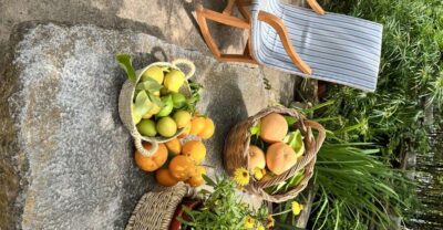 Palma: Orange Farm, Olive Mill, & Winery Tour with Tastings - Pickup to Tramuntana: how the timing really works