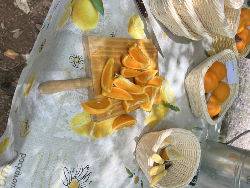 Palma: Orange Farm, Olive Mill, & Winery Tour with Tastings - Small group energy: why it can feel more personal