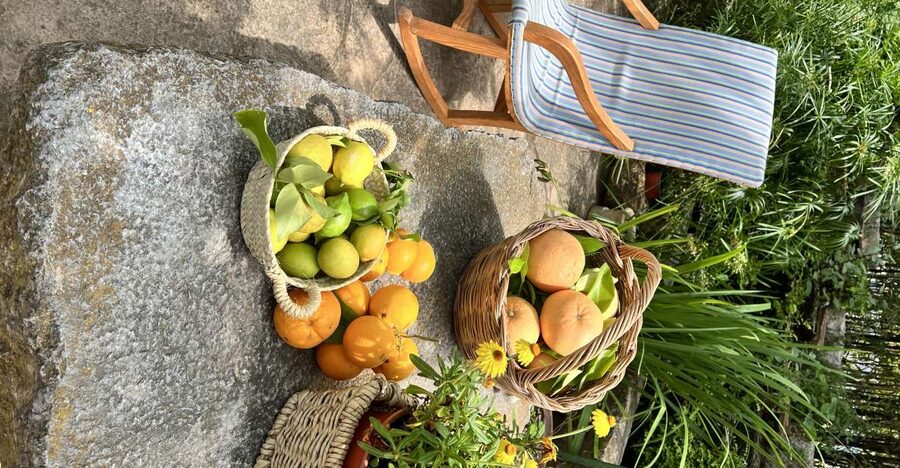 Palma: Orange Farm, Olive Mill, & Winery Tour with Tastings - Pickup to Tramuntana: how the timing really works