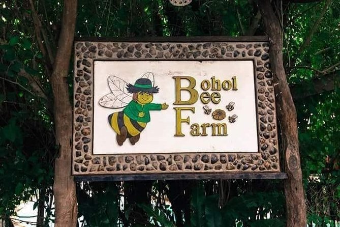 Panglao's Best Hinagdanan Cave, Bee Farm, Mirror of the World - Hinagdanan Cave: the light-filled lagoon and the swim decision