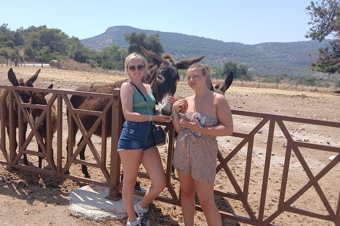 Paphos: Akamas Gorge & Turtle Bay & Donkey Farm Jeep Safari Tour - Your Day Out of Paphos: What This Jeep Safari Feels Like