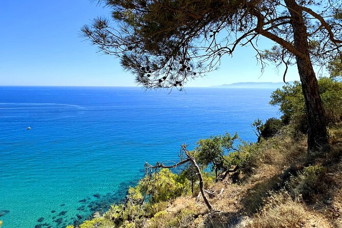Paphos: Akamas Gorge & Turtle Bay & Donkey Farm Jeep Safari Tour - Baths of Aphrodite: Myth Stop, Photo Moment, Then Move On