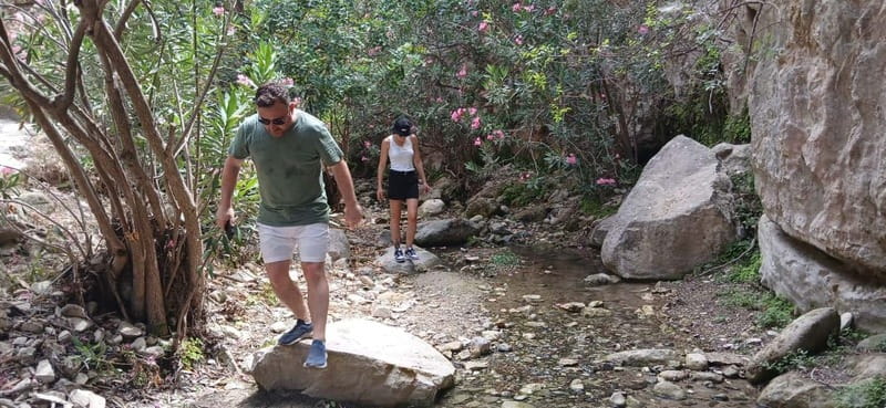 Paphos: Avakas Gorge & Turtle Bay Jeep Tour with Donkey Farm - Latchi Harbour and Porto Latsi: the seafood lunch you can actually choose